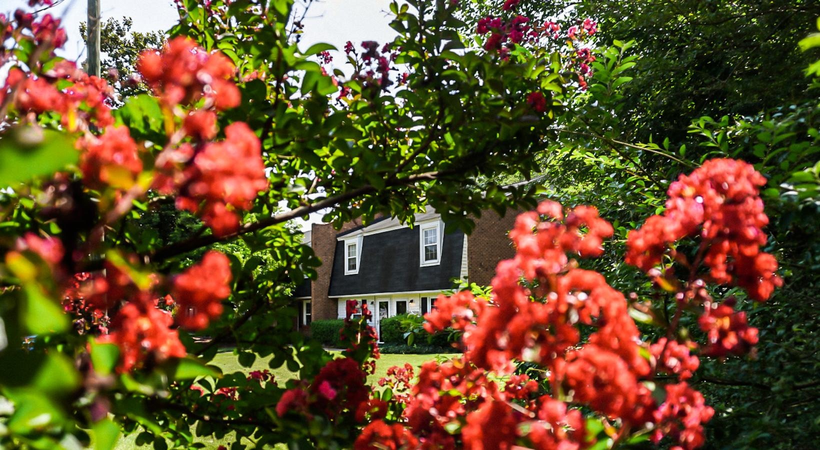 The essence of exceptional living an apartment behind a bush